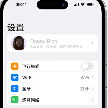 和平appleID维修服务iPhone设置中Apple ID显示为灰色无法使用 