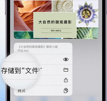 和平apple维修中心分享iPhone文件应用中存储和找到下载文件