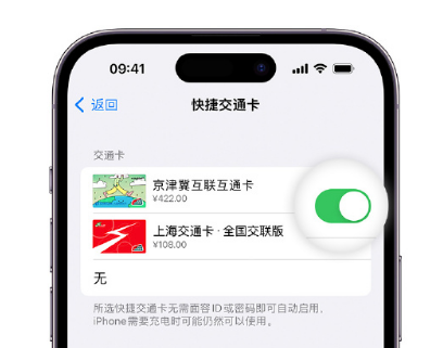 和平apple维修点分享iPhone上更换Apple Pay快捷交通卡手绘卡面 