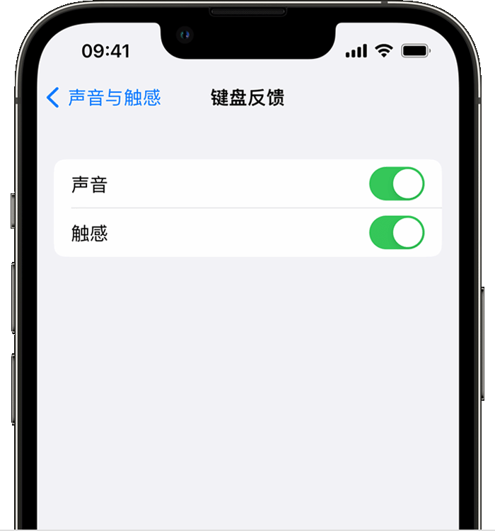 和平苹果14维修店分享如何在 iPhone 14 机型中使用触感键盘 