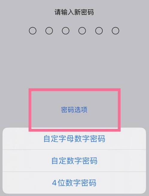 和平苹果14维修分享iPhone 14plus设置密码的方法 