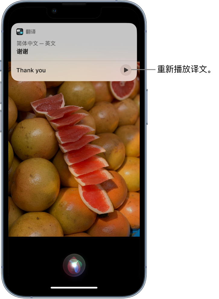 和平苹果14维修分享 iPhone 14 机型中使用 Siri：了解 Siri 能帮你做什么 