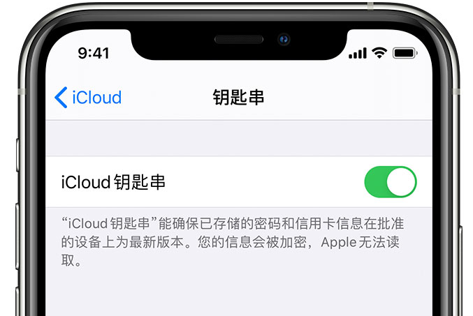 和平苹果手机维修分享在 iPhone 上开启 iCloud 钥匙串之后会储存哪些信息 