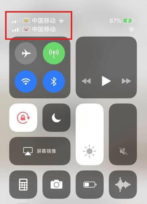 和平苹果手机维修分享为 iPhone 12 双卡设置标签 